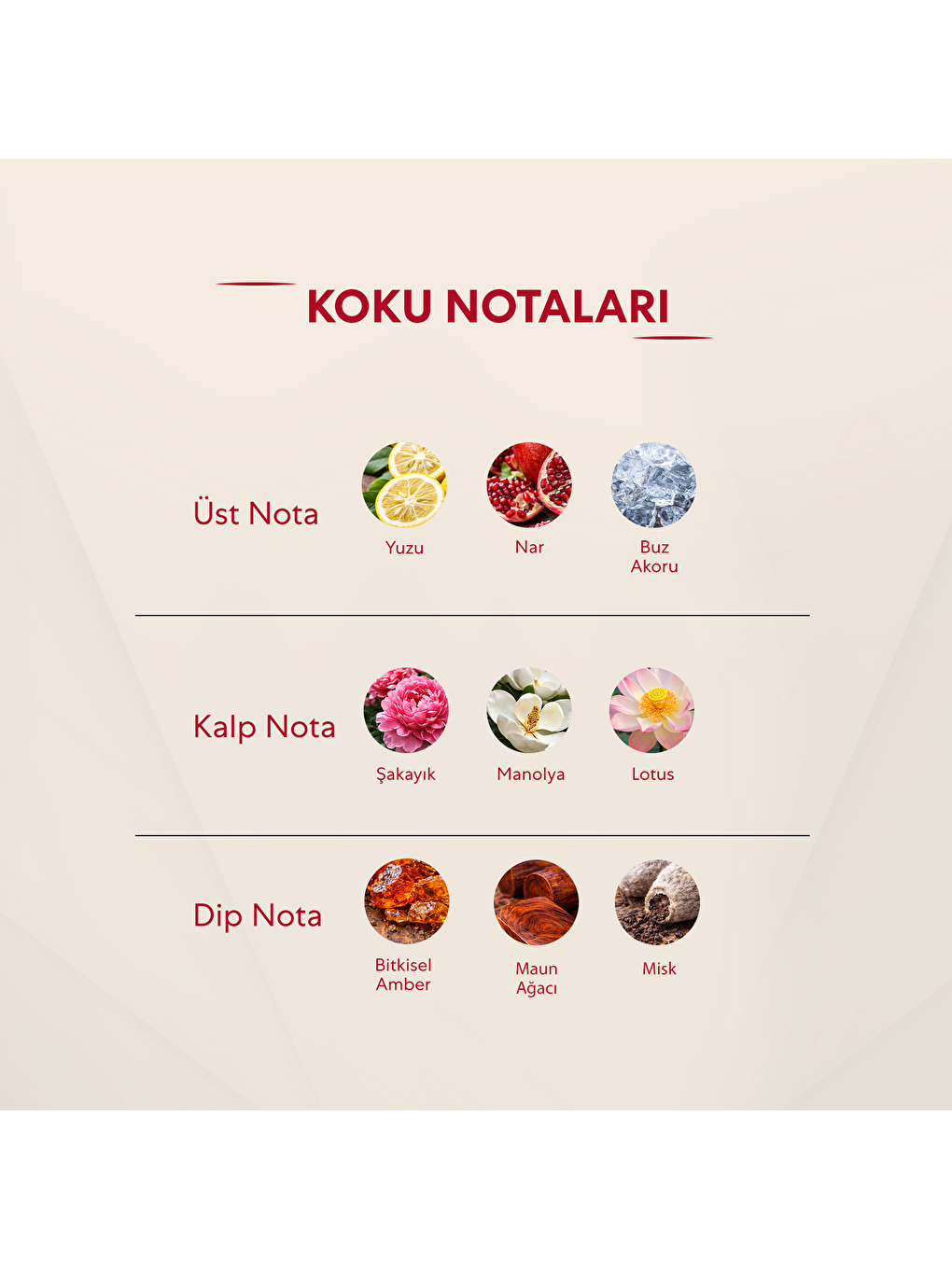 Kadın Parfüm Çiçeksi - 50ml Edp No:408-2