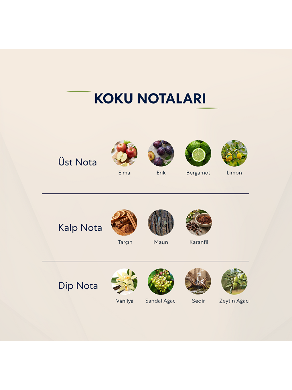 Erkek Parfüm Çiçeksi 50ml No:585-2