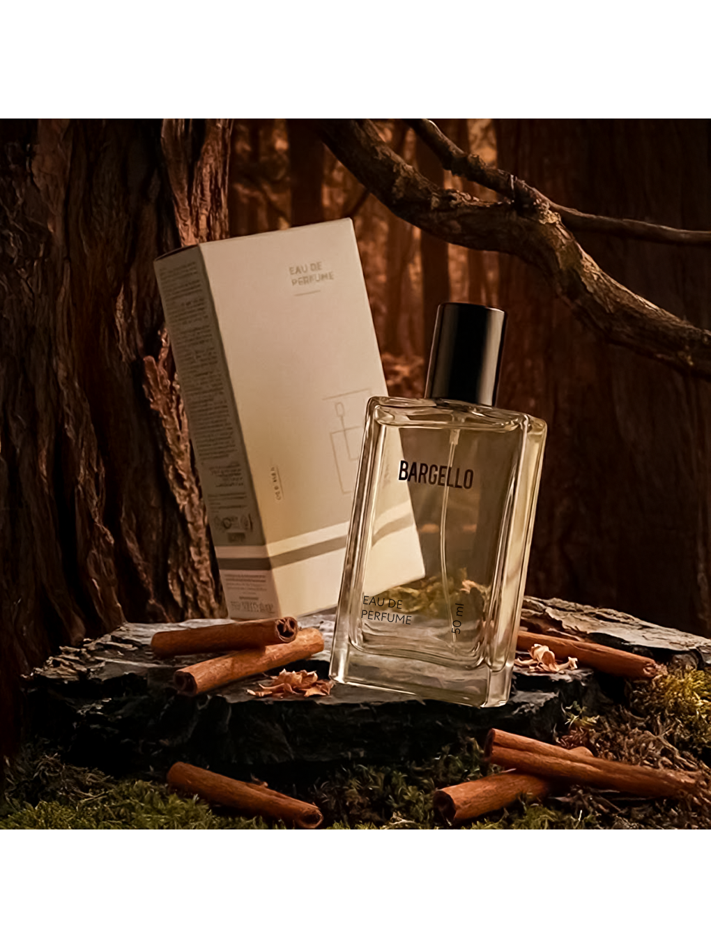 Erkek Parfüm Çiçeksi 50ml No:585-3