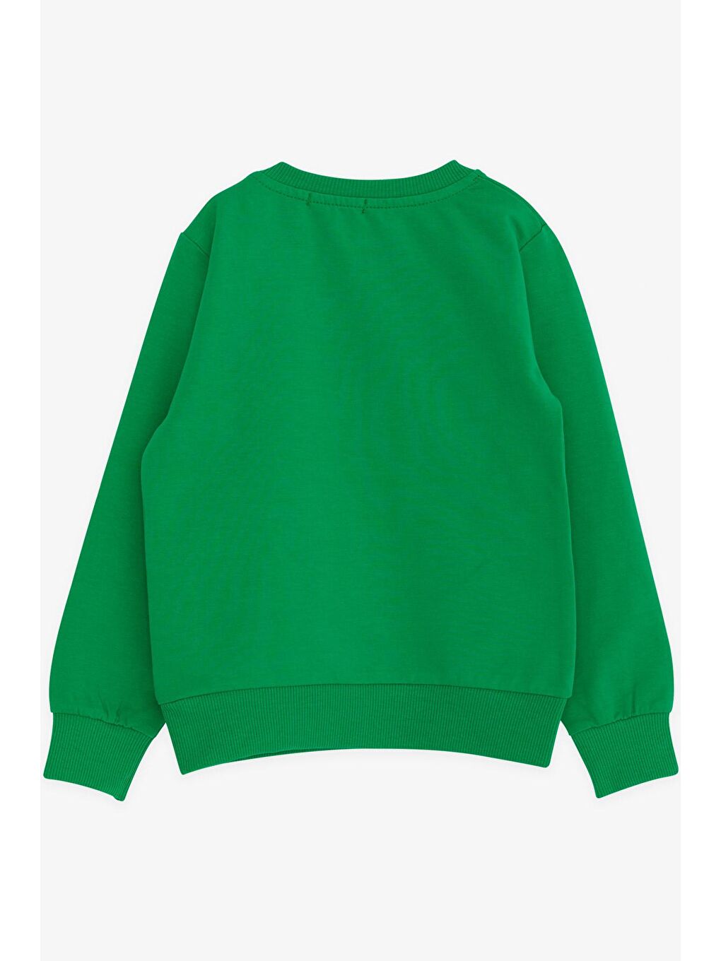 Breeze Yeşil Erkek Bebek Sweatshirt Yazı Baskılı Yeşil (2 Yaş) - 1