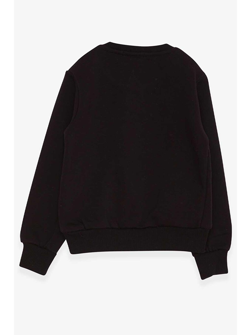 Erkek Çocuk Sweatshirt Yazı Baskılı Siyah (2-6 Yaş)-1