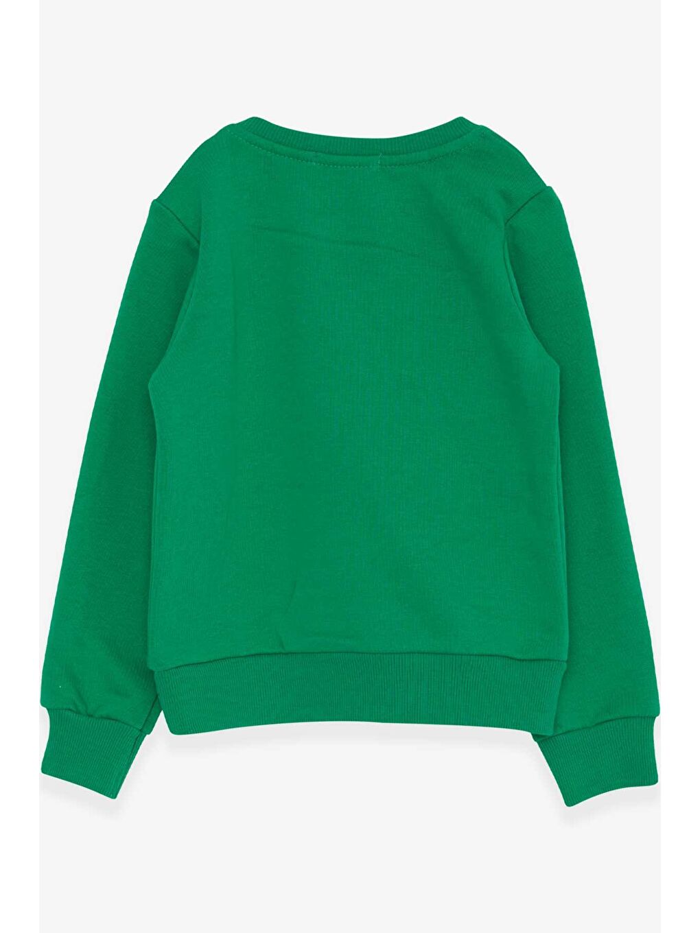 Breeze Yeşil Erkek Bebek Sweatshirt Yazı Baskılı Yeşil (2 Yaş) - 1