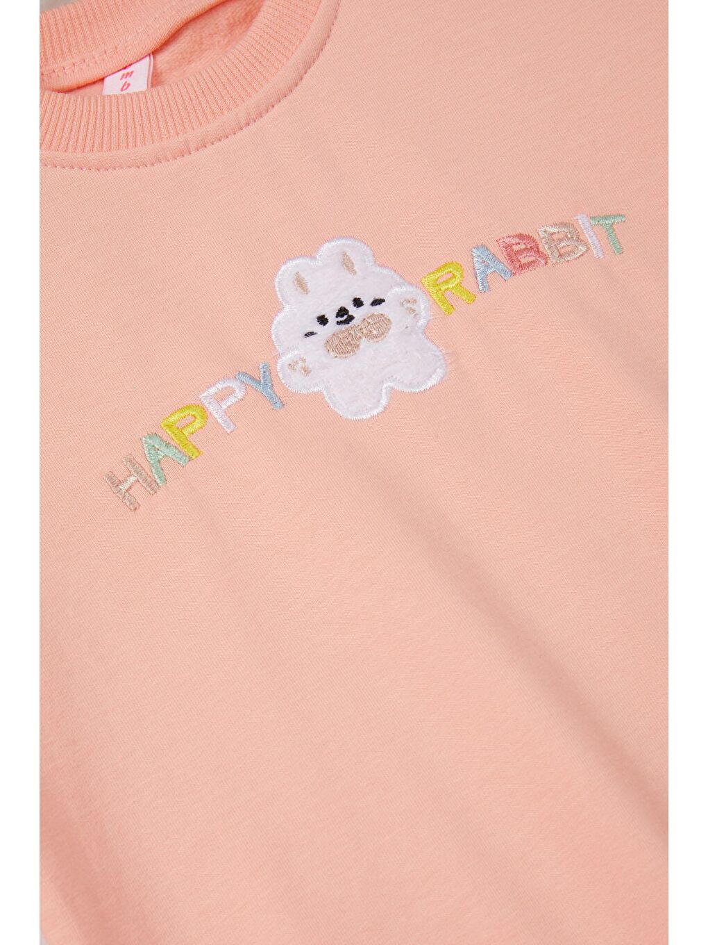 Pembe Life Kids Club Somon Tavşan Nakışlı Yazılı Kız Çocuk Sweatshirt 16945 - 1