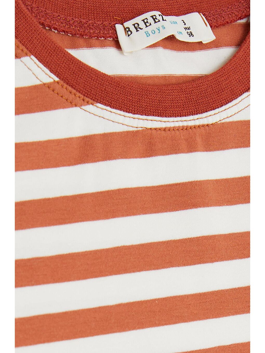 Kahverengi Erkek Çocuk Tişört Çizgili Kiremit (3-7 Yaş)-1