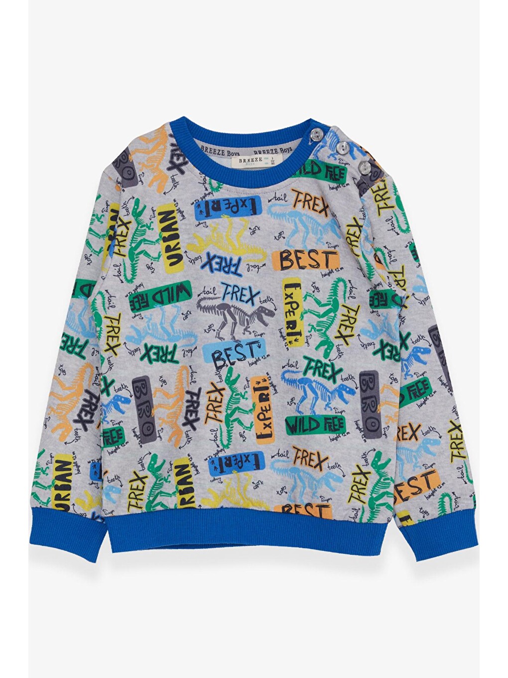 Erkek Bebek Sweatshirt Dinozor Desenli Açık Gri Melanj (1.5 Yaş)-2