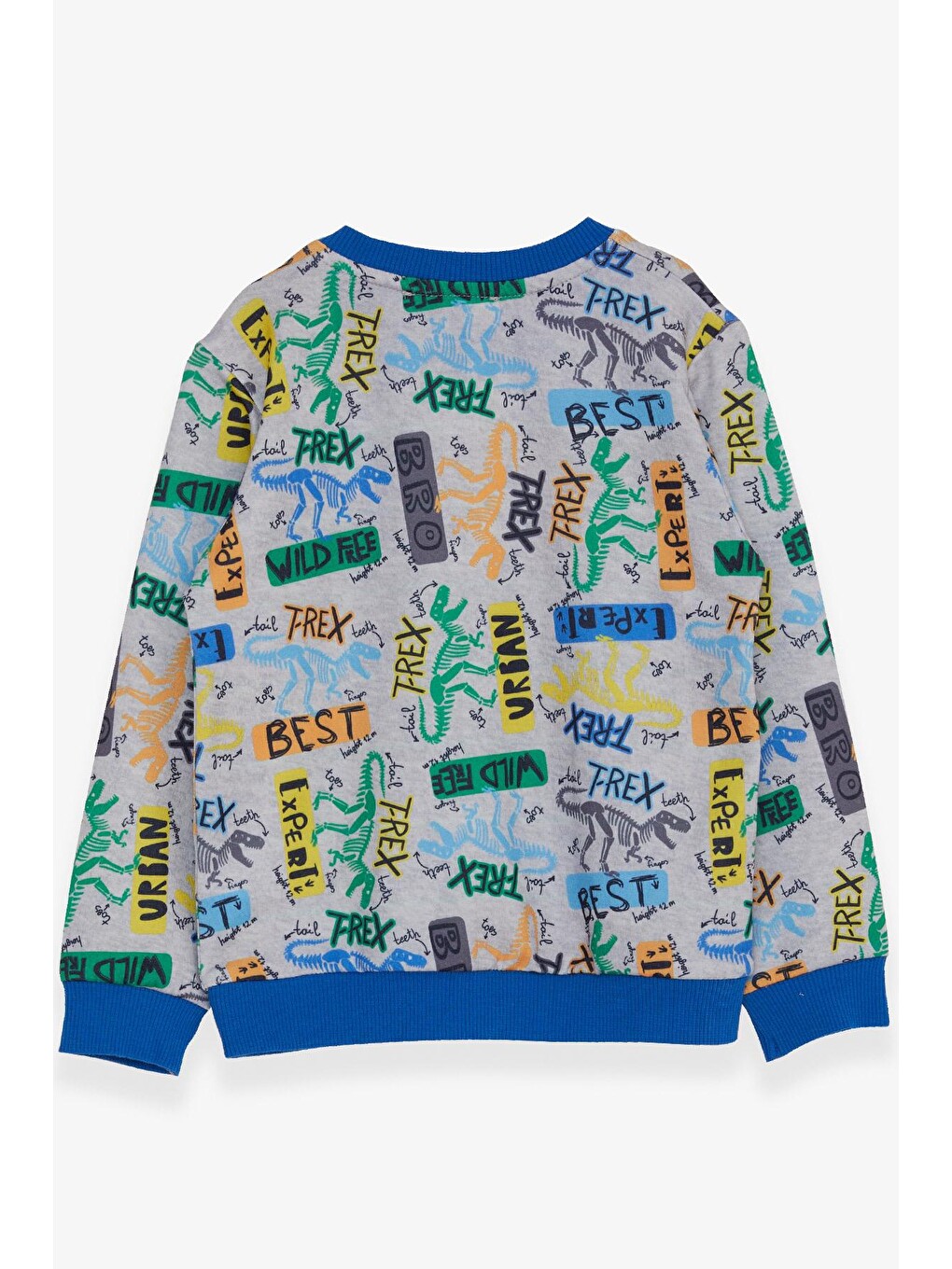 Erkek Bebek Sweatshirt Dinozor Desenli Açık Gri Melanj (1.5 Yaş)