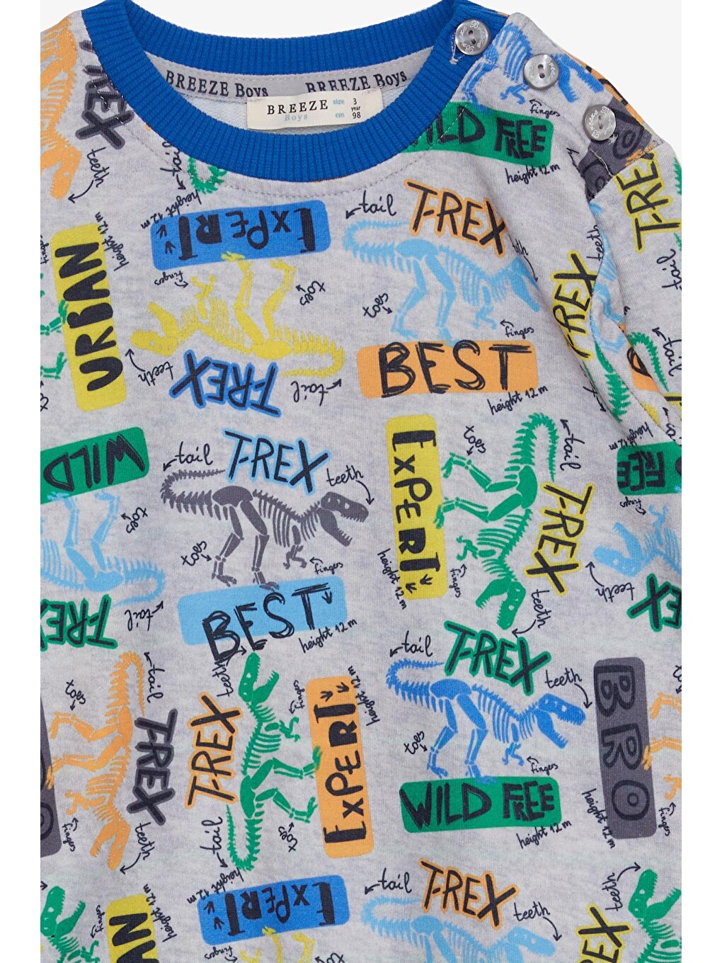 Erkek Bebek Sweatshirt Dinozor Desenli Açık Gri Melanj (1.5 Yaş)-3