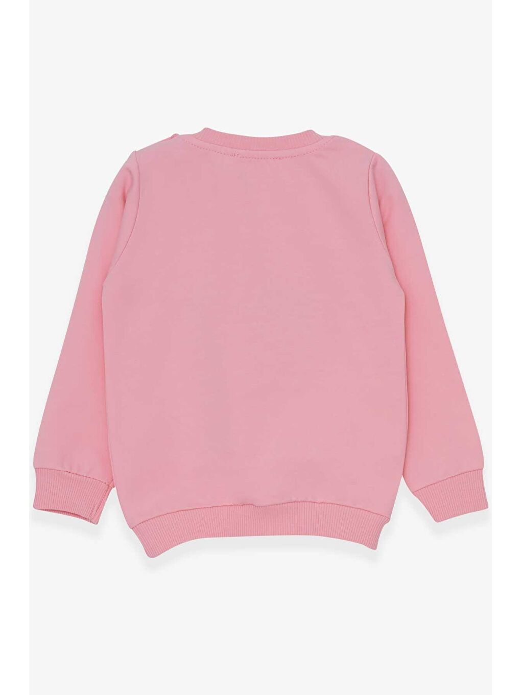 Pembe Kız Çocuk Sweatshirt Sevimli Hayvancıklar Baskılı Pudra (1.5-3 Yaş)-1