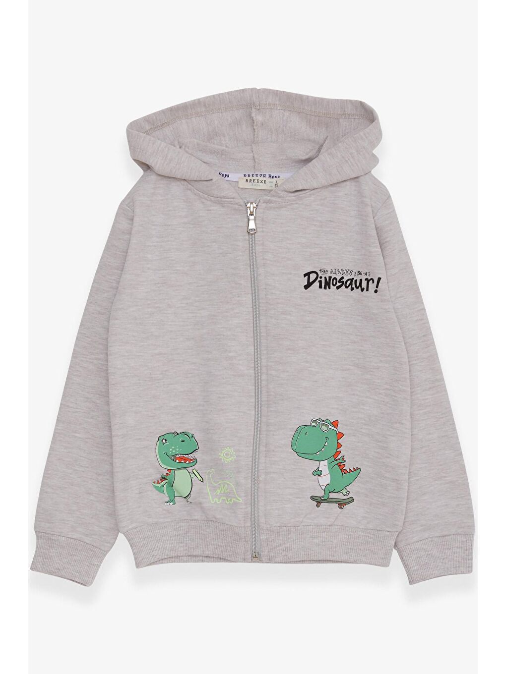 Erkek Çocuk Hırka Kaykaylı Dinozor Baskılı Bej Melanj (1-2 Yaş)