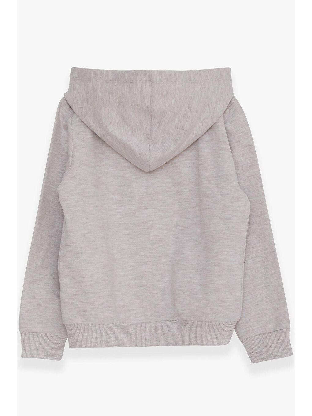 Erkek Çocuk Hırka Kaykaylı Dinozor Baskılı Bej Melanj (1-2 Yaş)-1