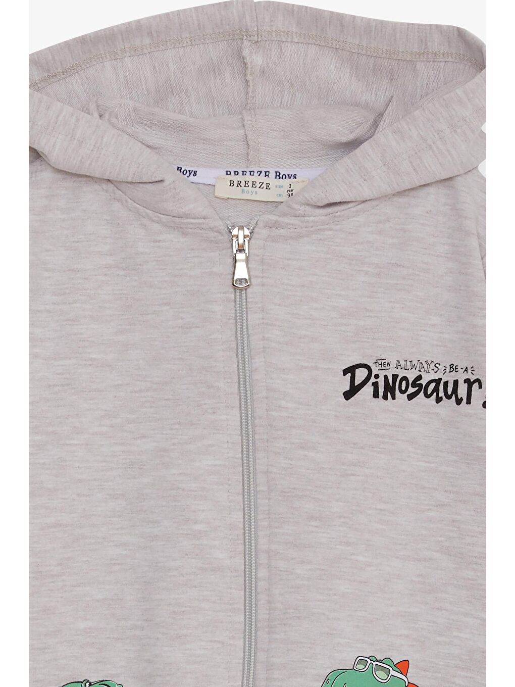 Erkek Çocuk Hırka Kaykaylı Dinozor Baskılı Bej Melanj (1-2 Yaş)-2