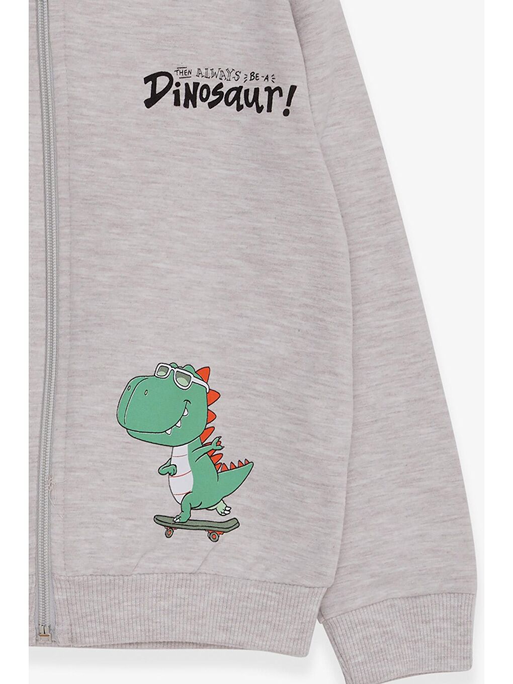 Erkek Çocuk Hırka Kaykaylı Dinozor Baskılı Bej Melanj (1-2 Yaş)-3