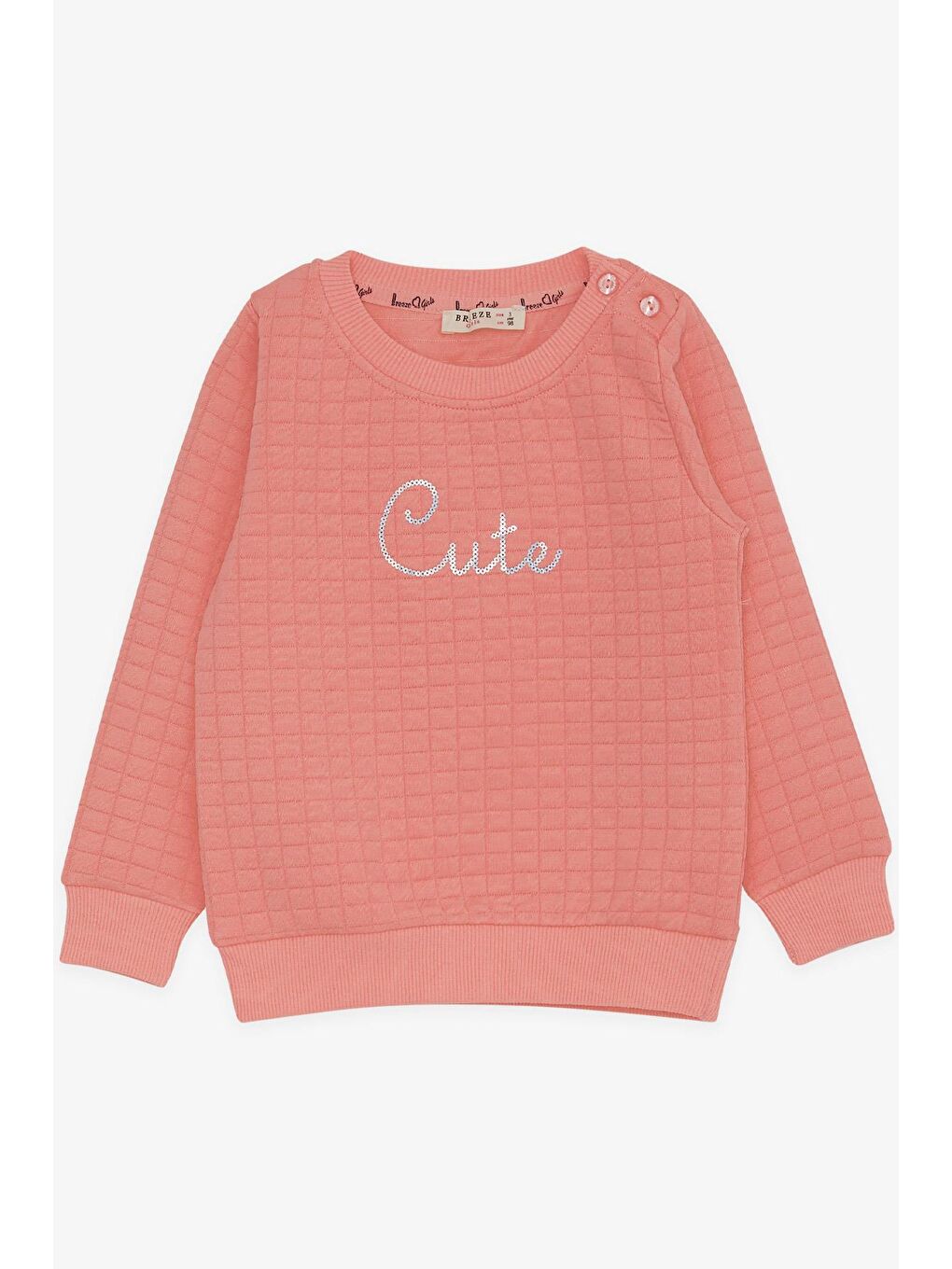 Pembe Kız Çocuk Sweatshirt Pullu Yazı Baskılı Somon (1.5-5 Yaş)