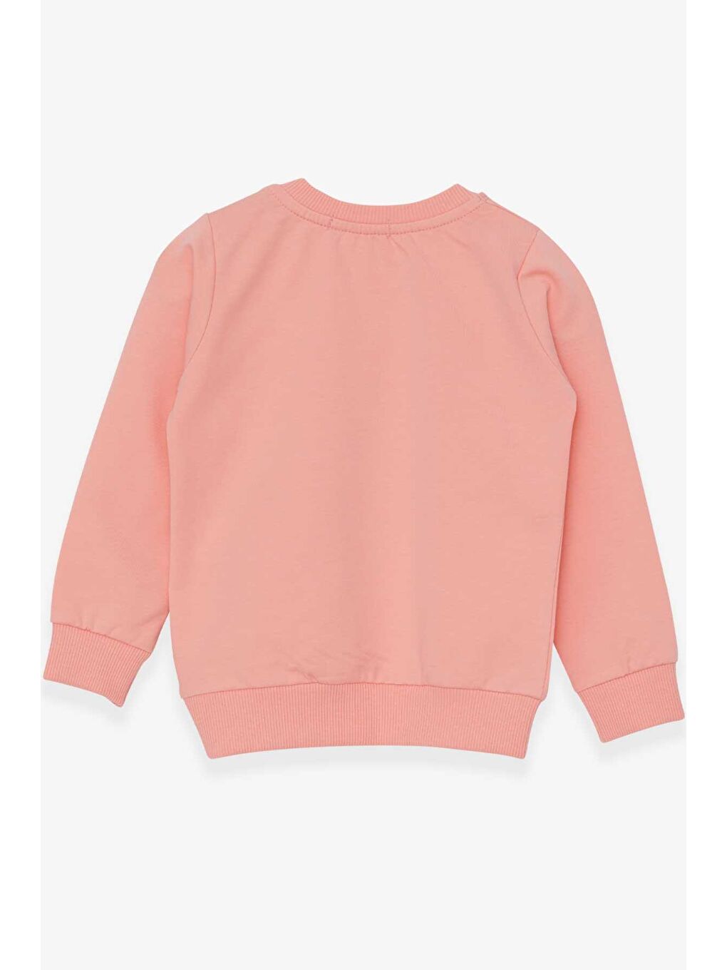 Pembe Kız Bebek Sweatshirt Baskılı  Somon (1.5-4 Yaş)-1