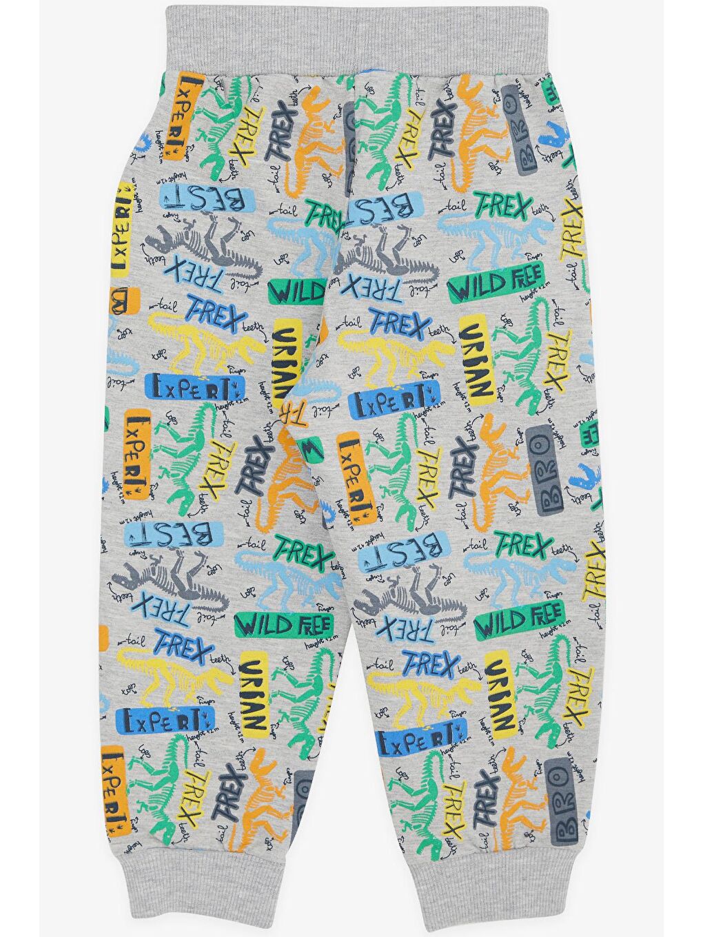 Bej Erkek Çocuk Eşofman Altı Dinozor Desenli Gri Melanj (2-6 Yaş)-1