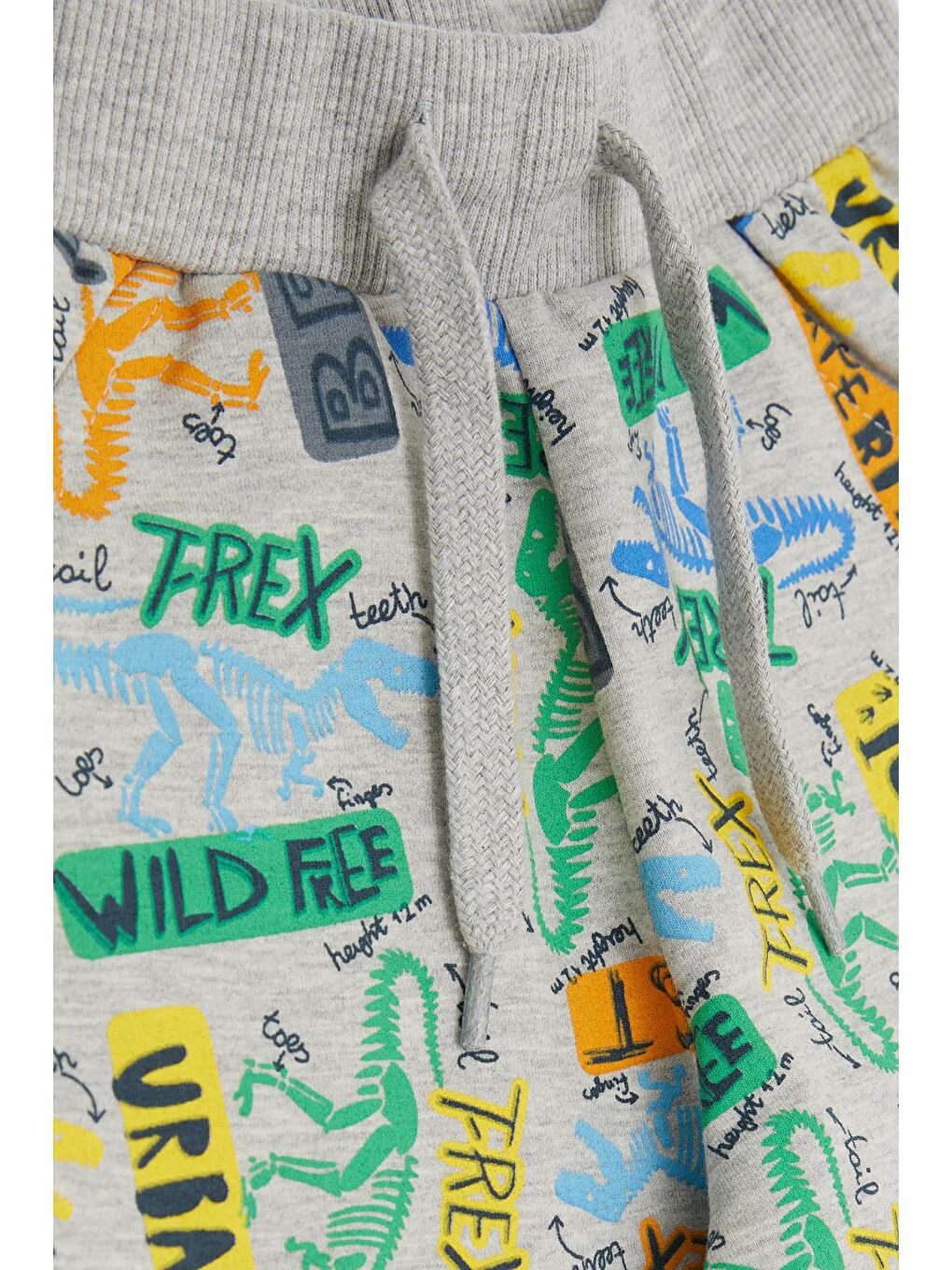 Bej Erkek Çocuk Eşofman Altı Dinozor Desenli Gri Melanj (2-6 Yaş)-2