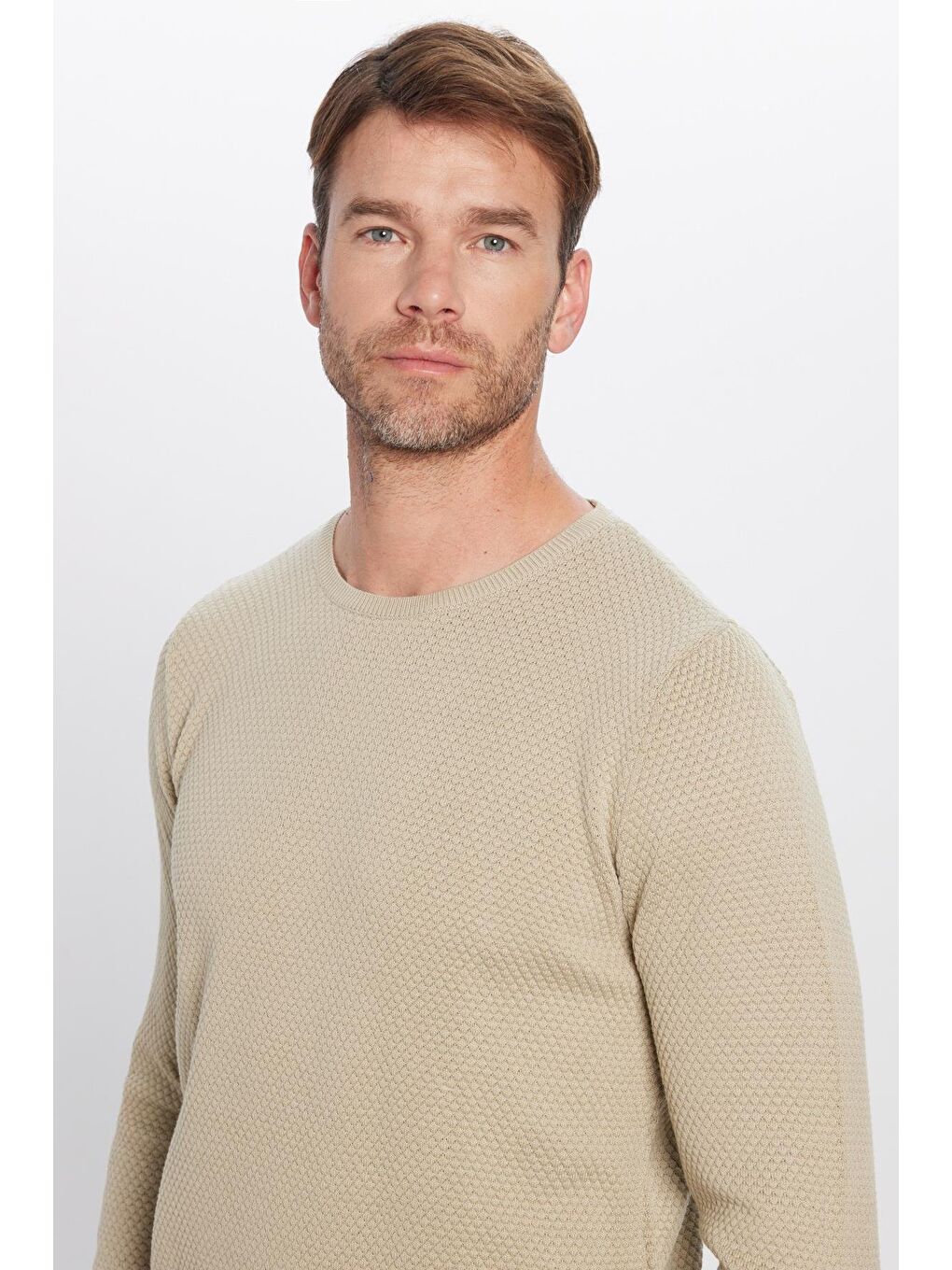 Bej Erkek Standart Fit Normal Kesim Bisiklet Yaka Petek Desenli Taş Triko Kazak-1