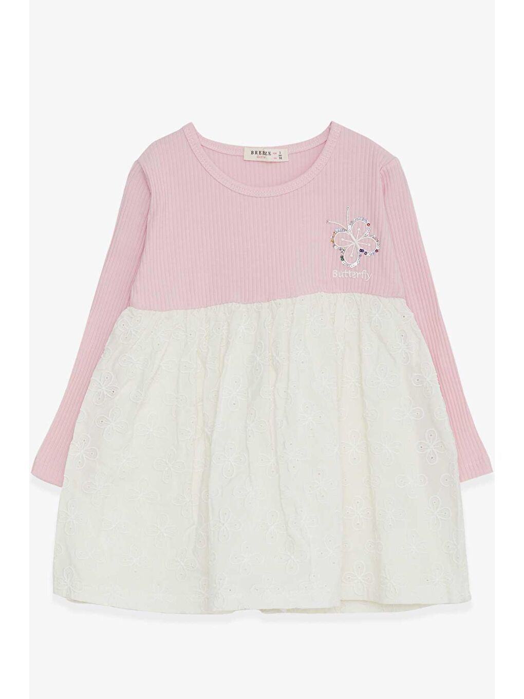 Kız Çocuk Uzun Kollu Elbise Pullu Kelebek Nakışlı Pembe (2-5 Yaş)