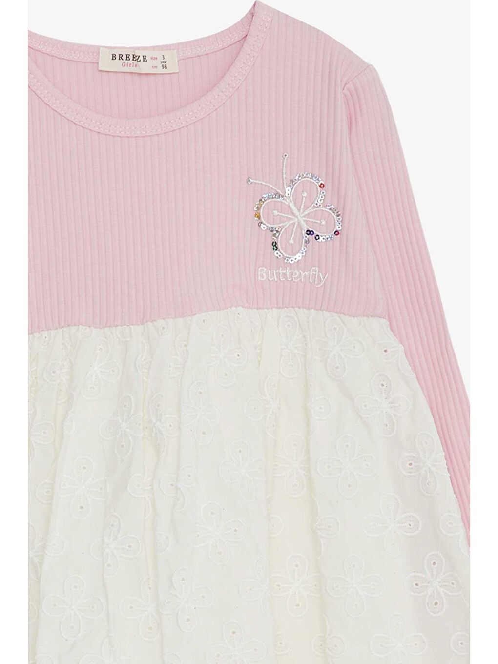 Kız Çocuk Uzun Kollu Elbise Pullu Kelebek Nakışlı Pembe (2-5 Yaş)-2