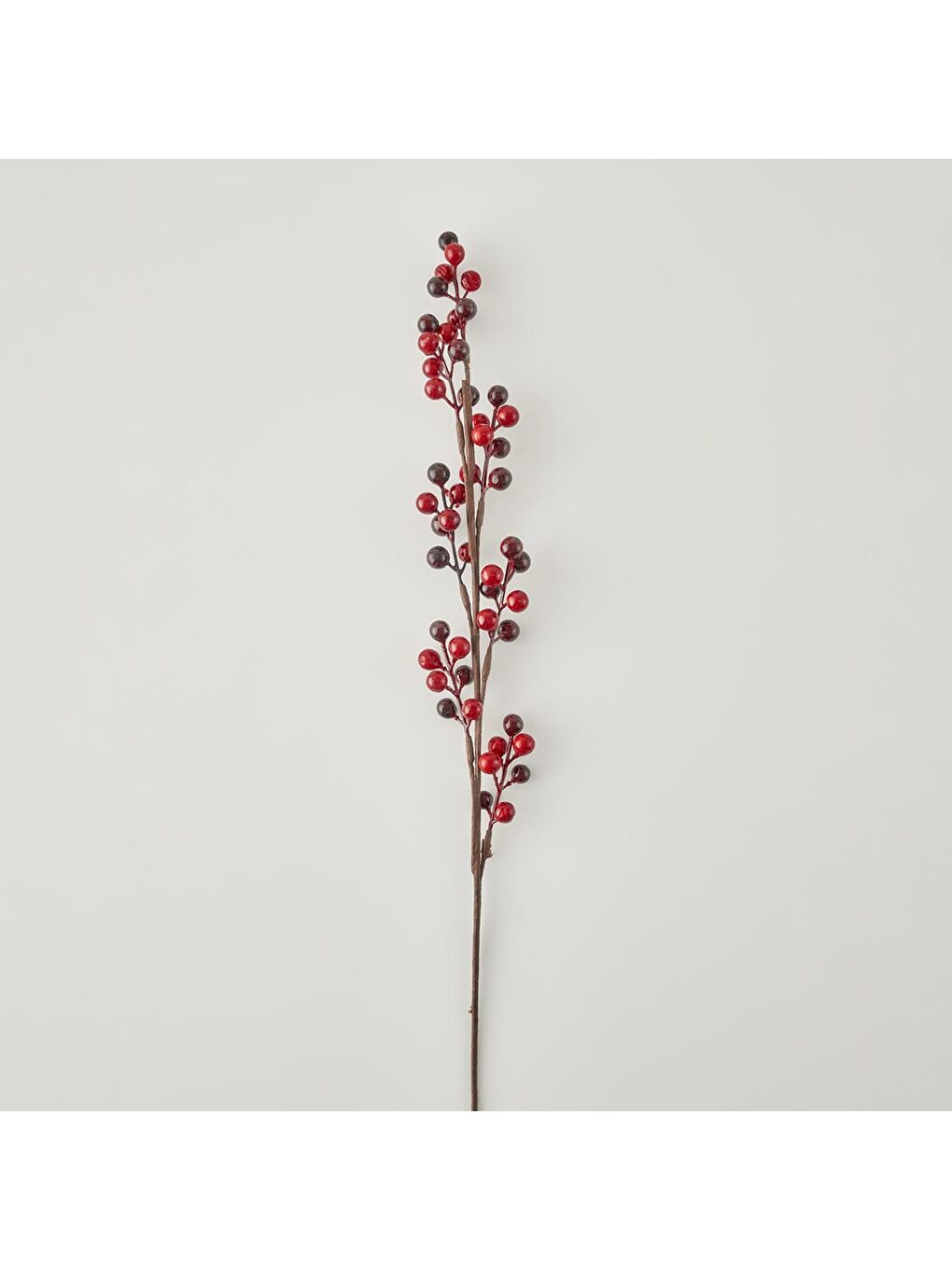 Kokina Dal Çiçek Kırmızı (75 cm)