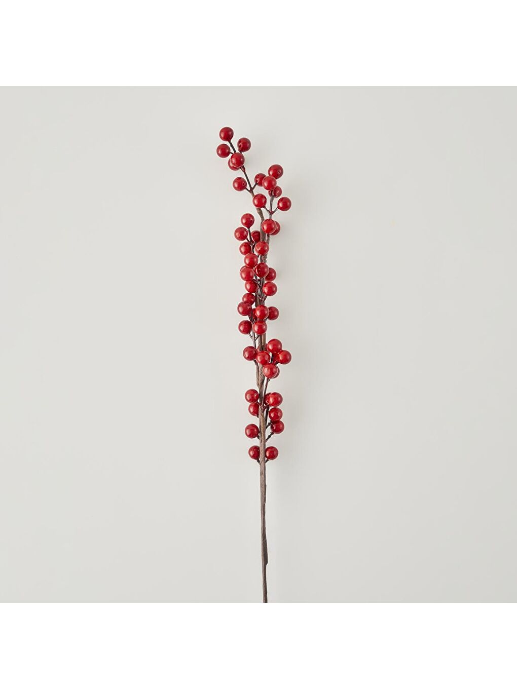 Dal Çiçek Kırmızı (75 cm)