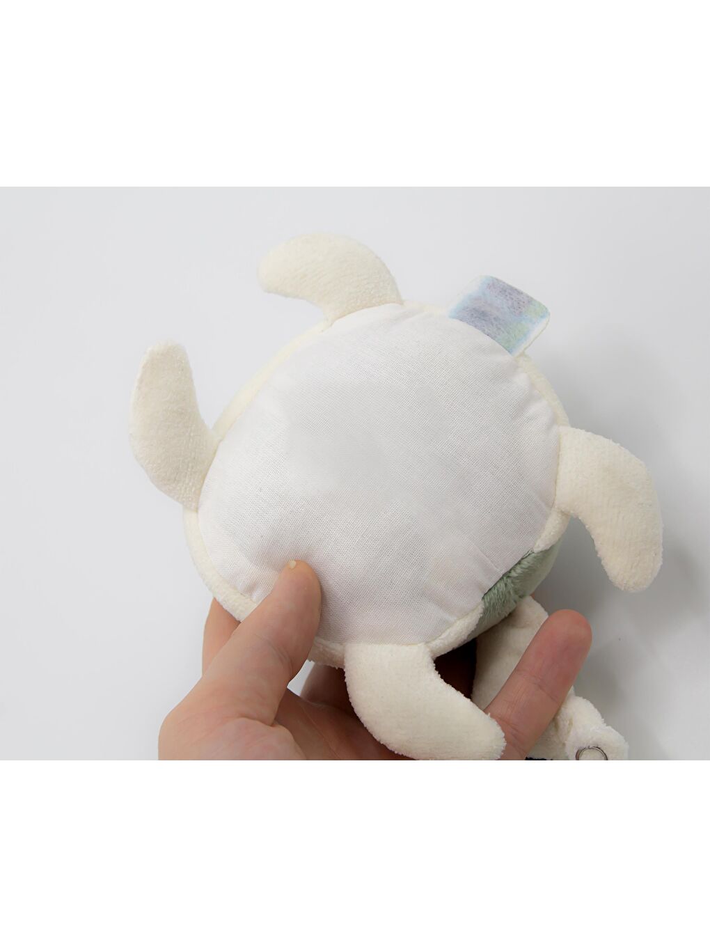 Çıngıraklı Kaplumbağa Mint-3