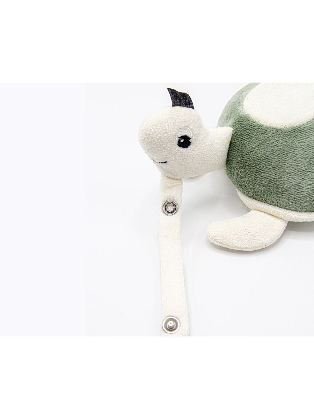 Çıngıraklı Kaplumbağa Mint-5