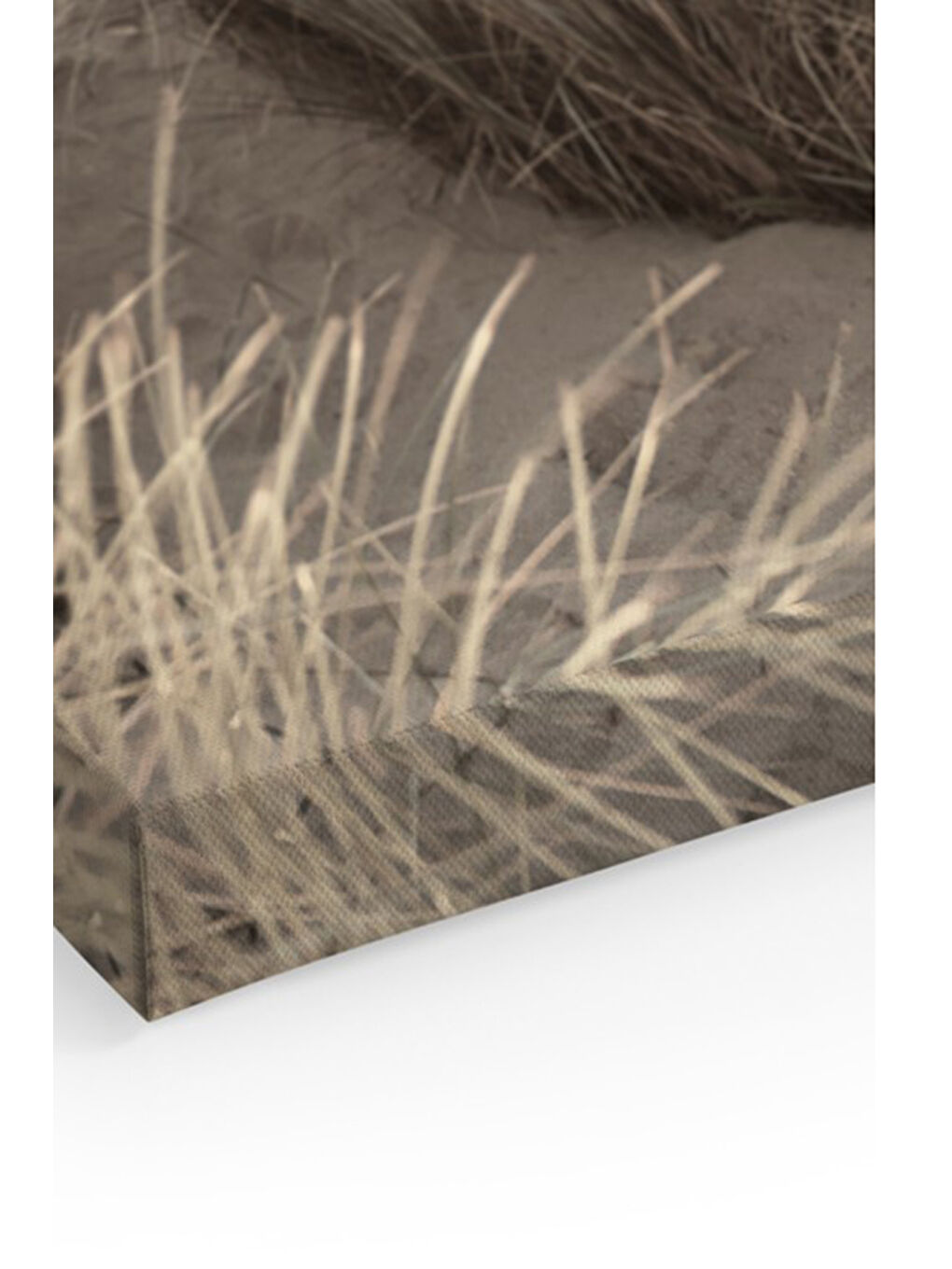 Beyaz Dekoratif Kanvas Duvar Tablo - ARTCANVAS105-4060-1