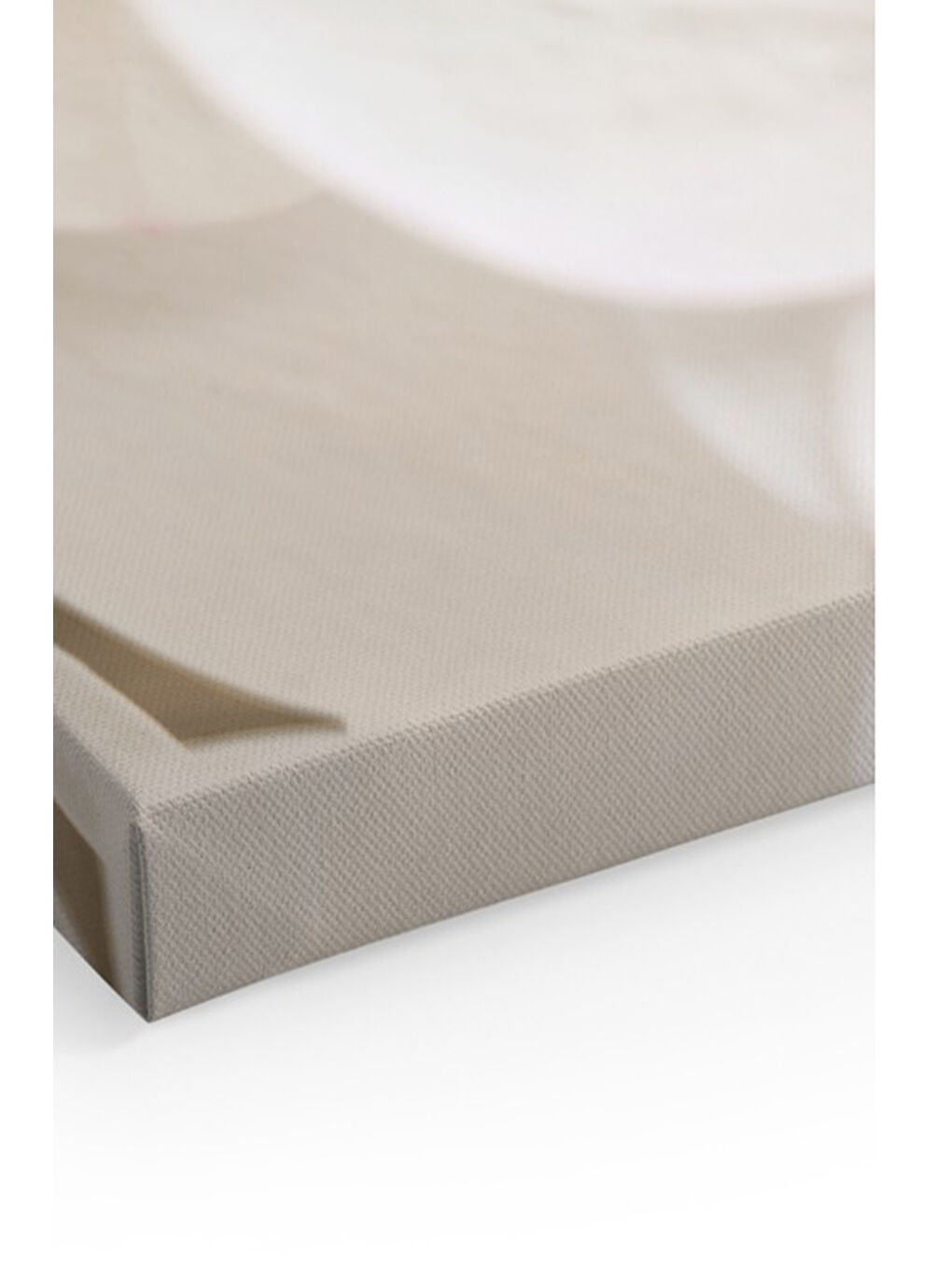 Beyaz Dekoratif Kanvas Duvar Tablo - ARTCANVAS132-4060-1