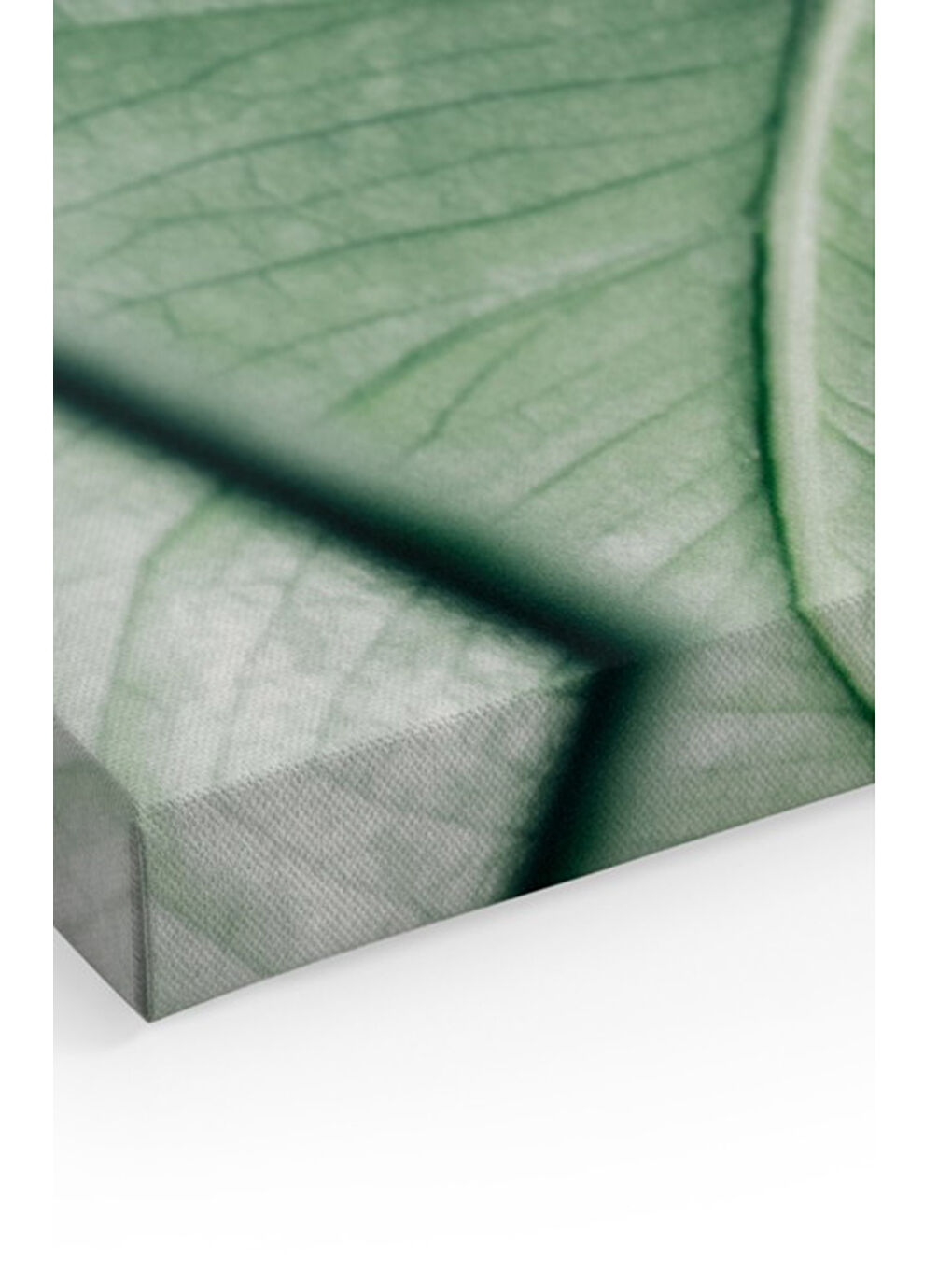 Beyaz Dekoratif Kanvas Duvar Tablo - ARTCANVAS15-4060-1