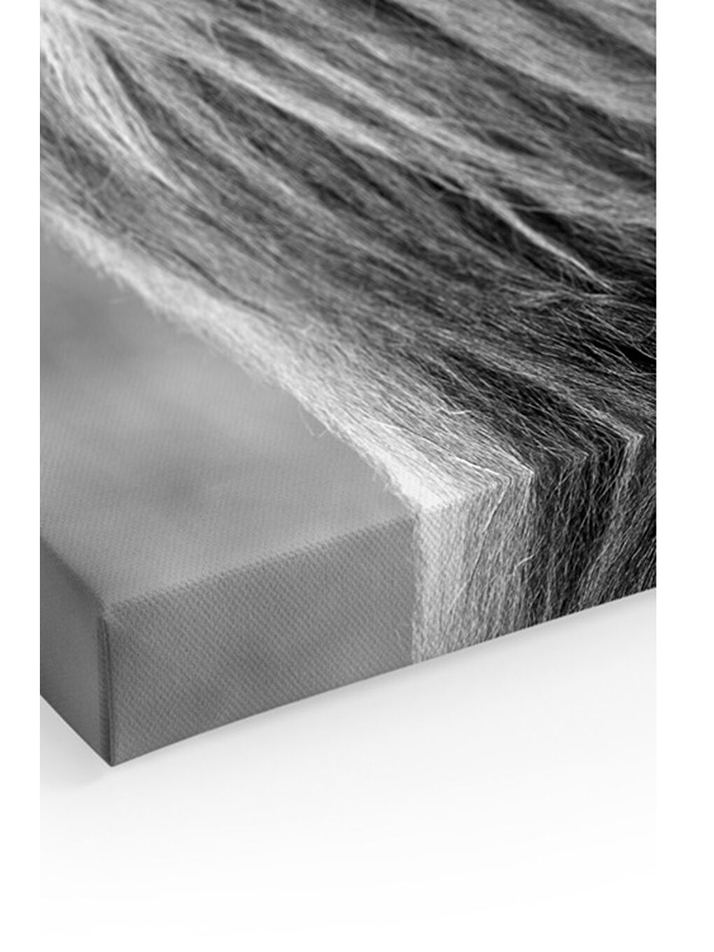 Beyaz Dekoratif Kanvas Duvar Tablo - ARTCANVAS21-70100-1