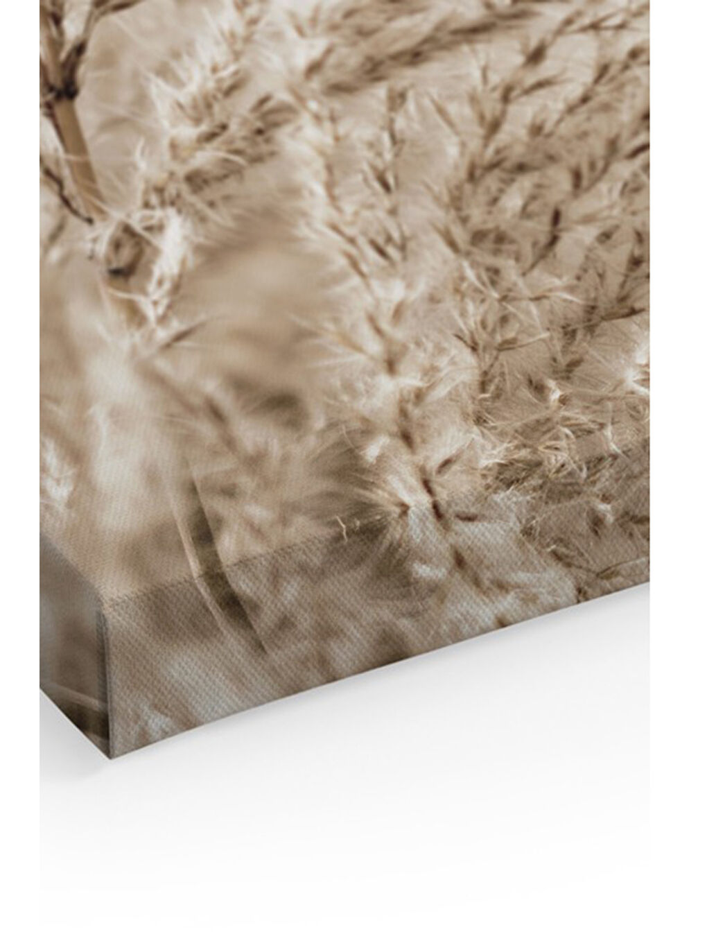 Beyaz Dekoratif Kanvas Duvar Tablo - ARTCANVAS25-70100-1