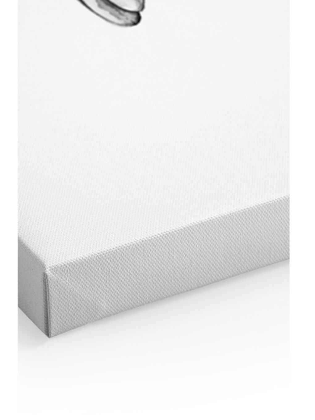 Beyaz Dekoratif Kanvas Duvar Tablo - ARTCANVAS28-4060-1