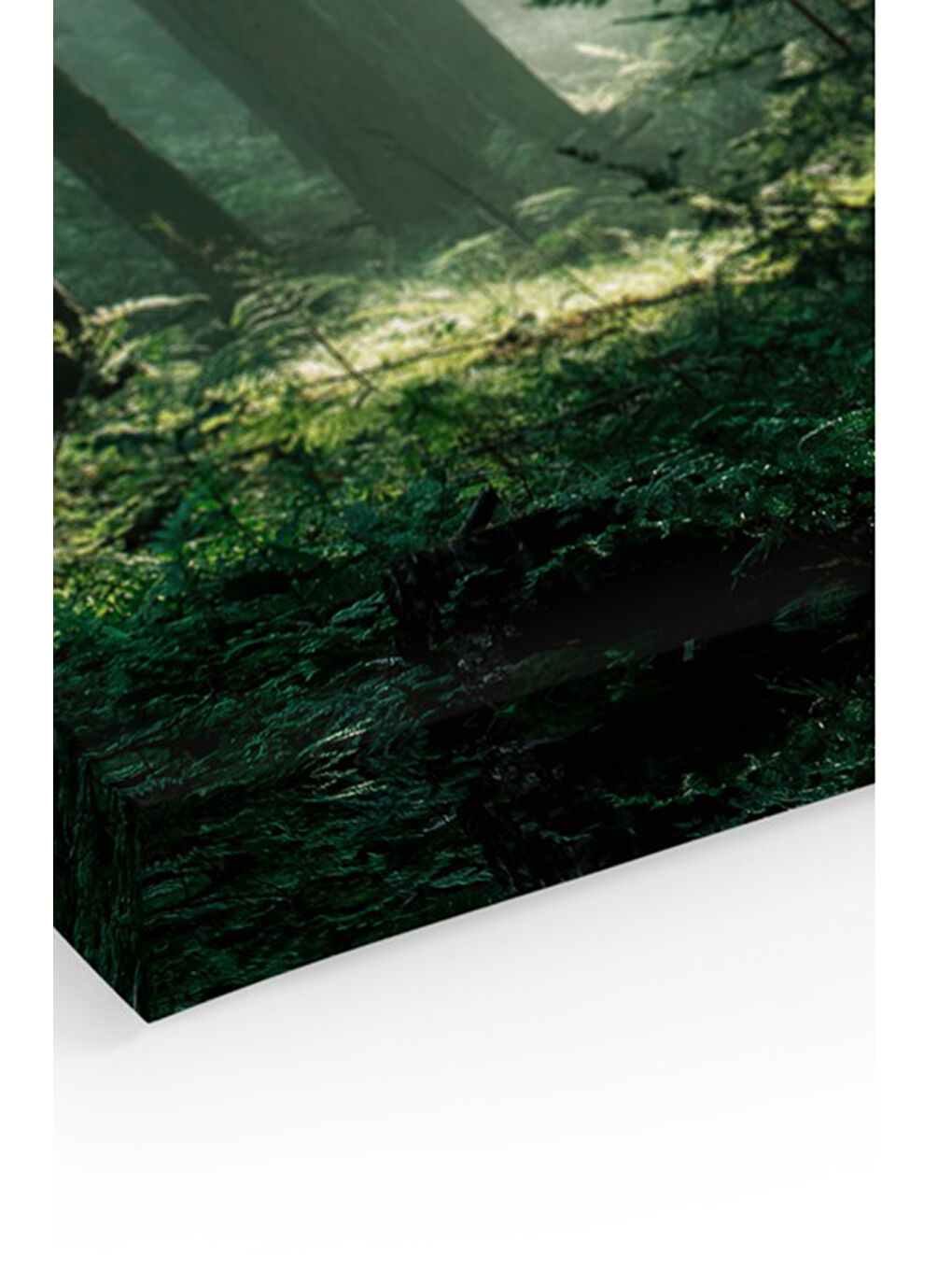 Beyaz Dekoratif Kanvas Duvar Tablo - ARTCANVAS30-4060-1