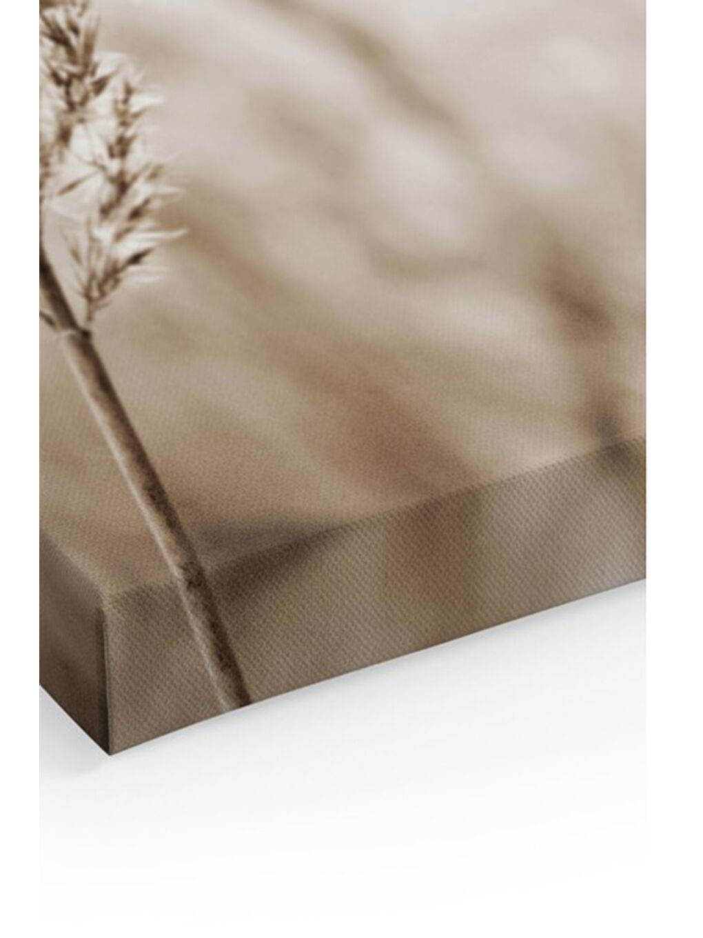 Beyaz Dekoratif Kanvas Duvar Tablo - ARTCANVAS38-70100-1