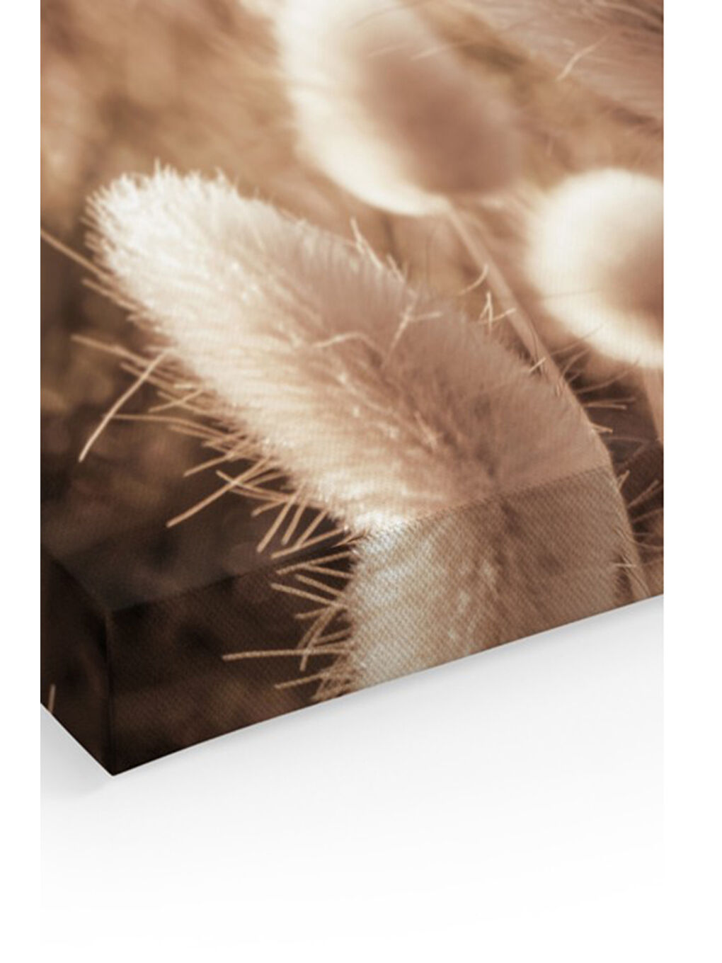 Beyaz Dekoratif Kanvas Duvar Tablo - ARTCANVAS43-4060-1