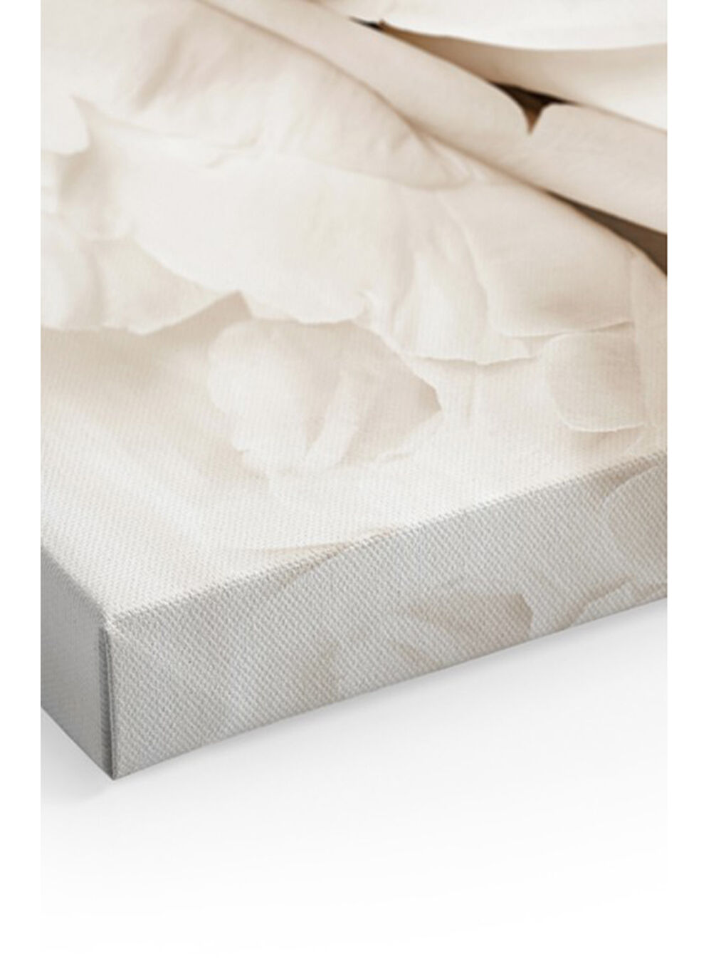 Beyaz Dekoratif Kanvas Duvar Tablo - ARTCANVAS49-70100-1