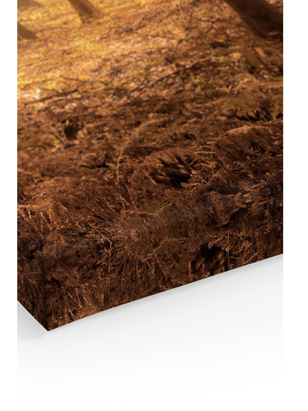 Beyaz Dekoratif Kanvas Duvar Tablo - ARTCANVAS121-4060-1