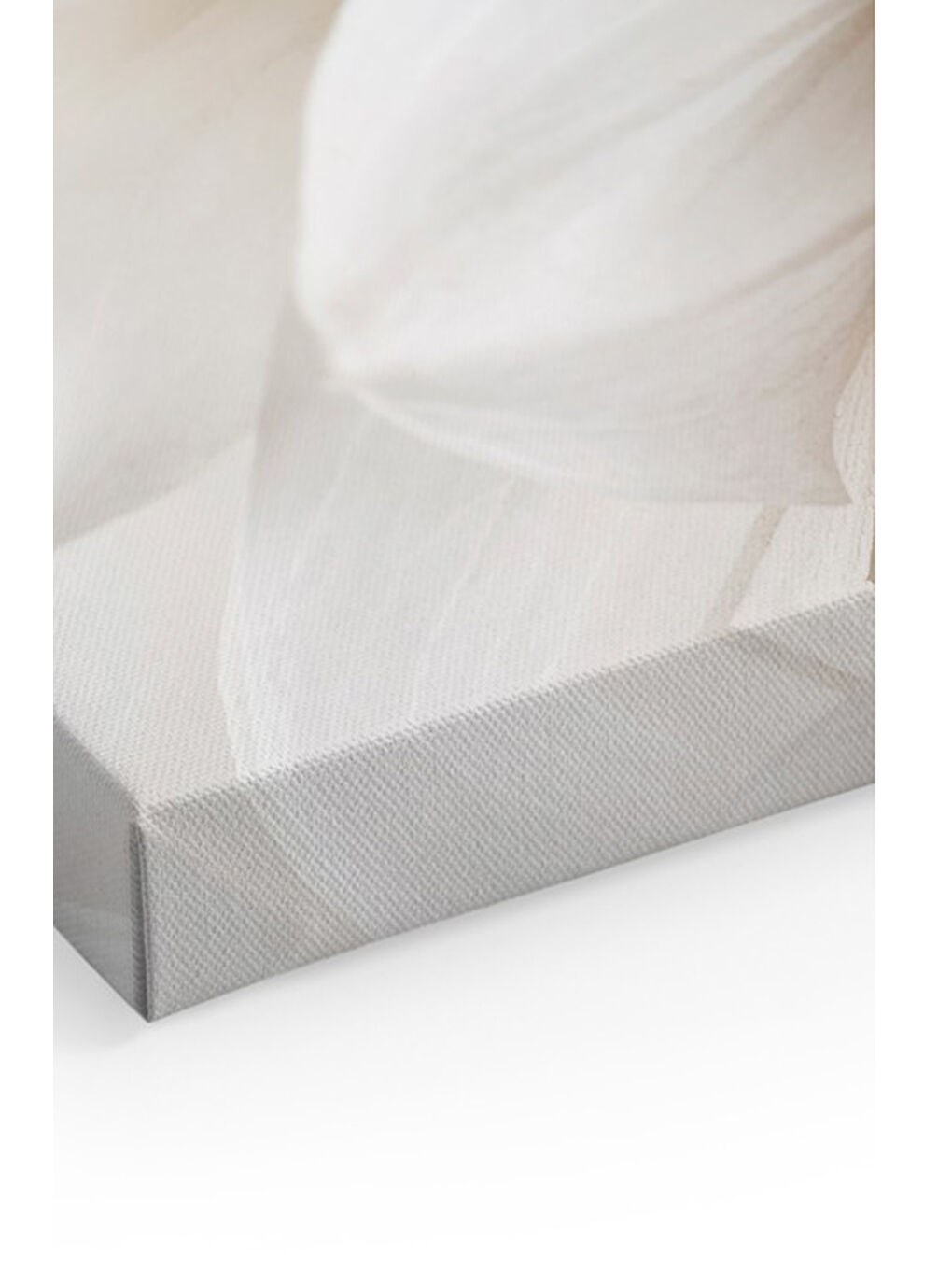 Beyaz Dekoratif Kanvas Duvar Tablo - ARTCANVAS126-4060-1