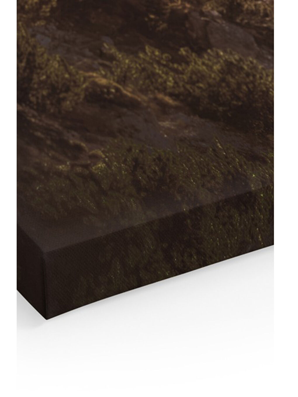 Beyaz Dekoratif Kanvas Duvar Tablo - ARTCANVAS64-4060-1