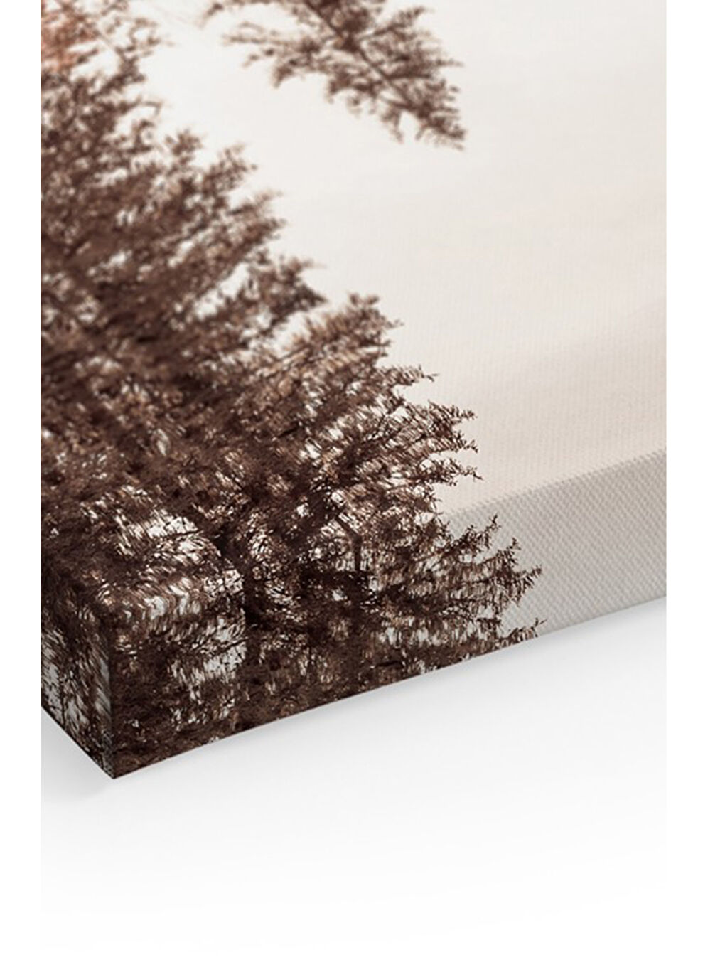 Beyaz Dekoratif Kanvas Duvar Tablo - ARTCANVAS67-4060-1