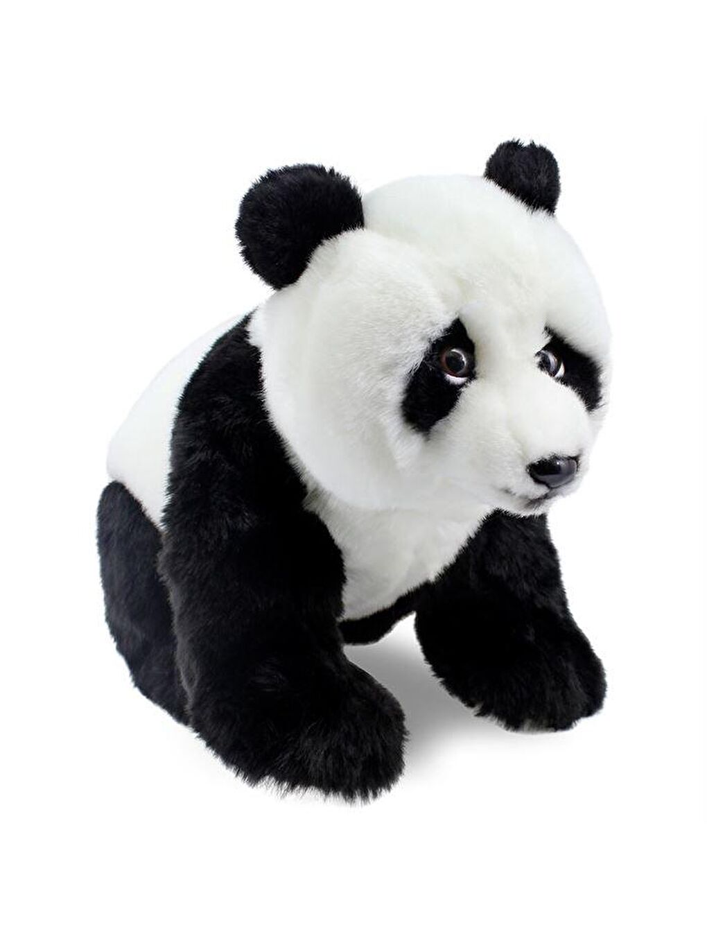 Animals of The World Karışık Floppy Panda 38cm