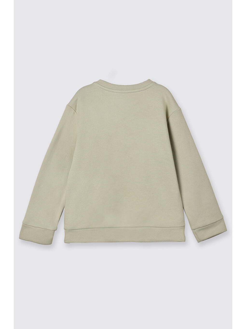 Erkek Bebek Yumuşak Dokulu Baskılı Yeşil Sweatshirt-1