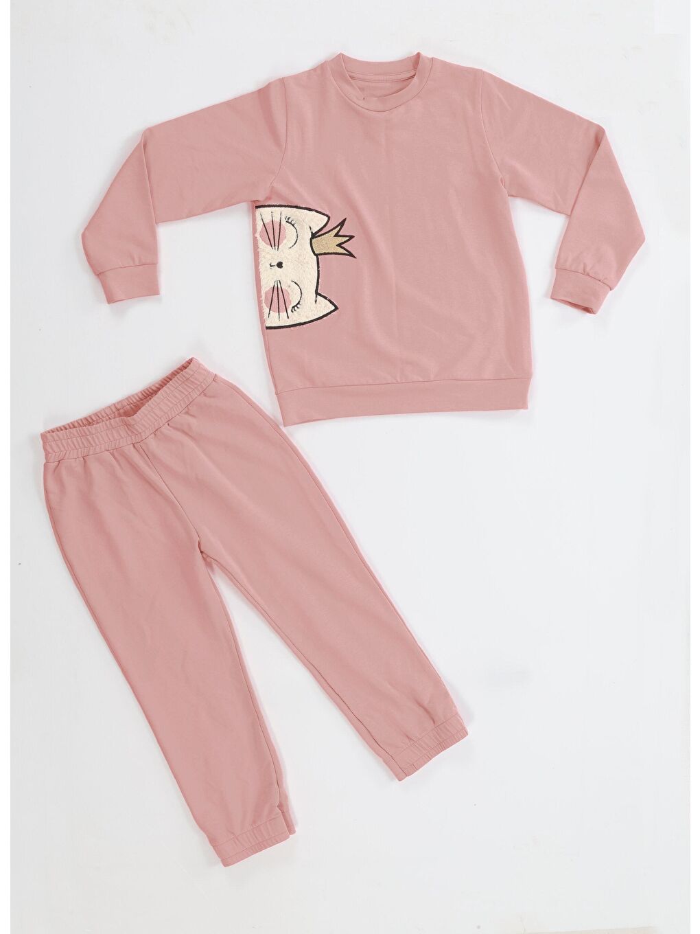 Pembe Kedi Prenses Gülkurusu Kız Çocuk Eşofman Takım-3