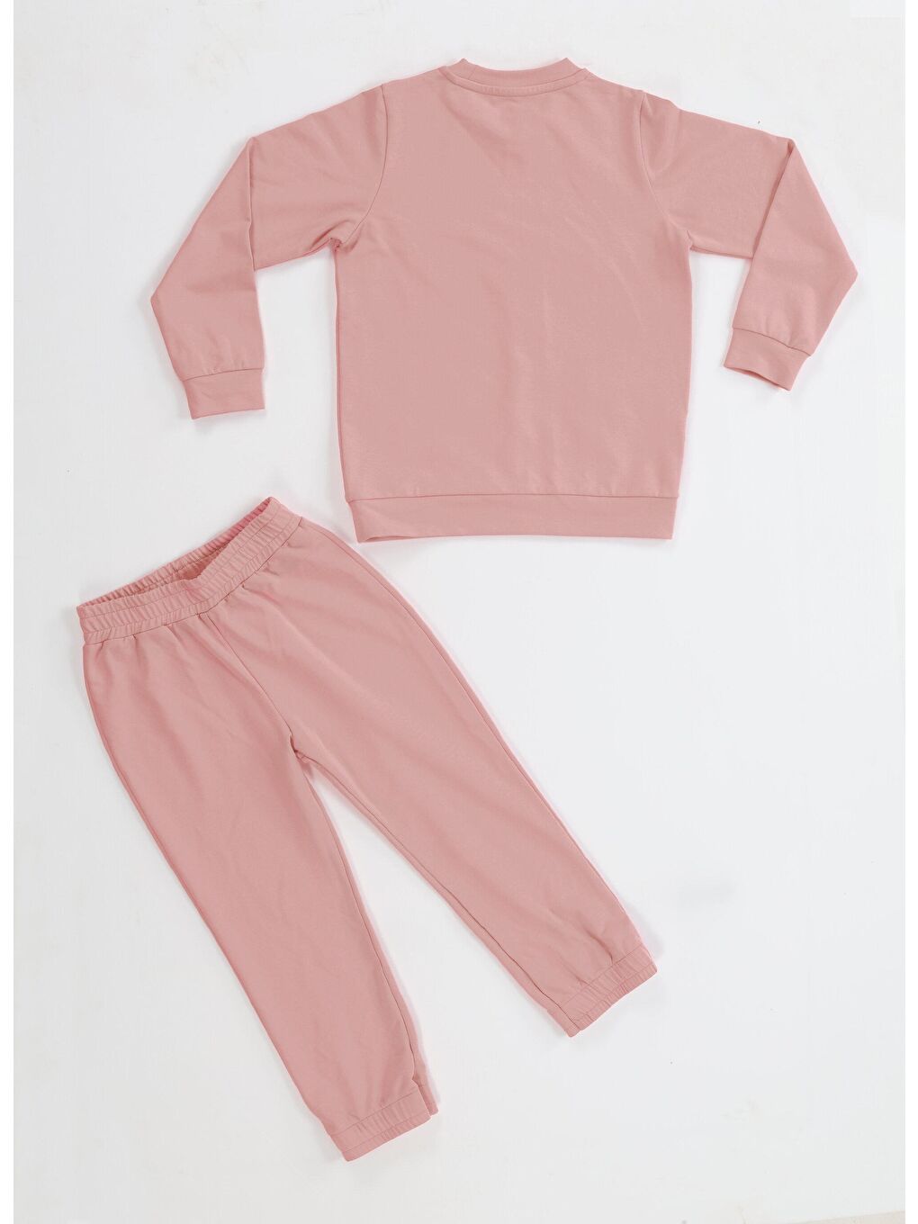 Pembe Kedi Prenses Gülkurusu Kız Çocuk Eşofman Takım-4