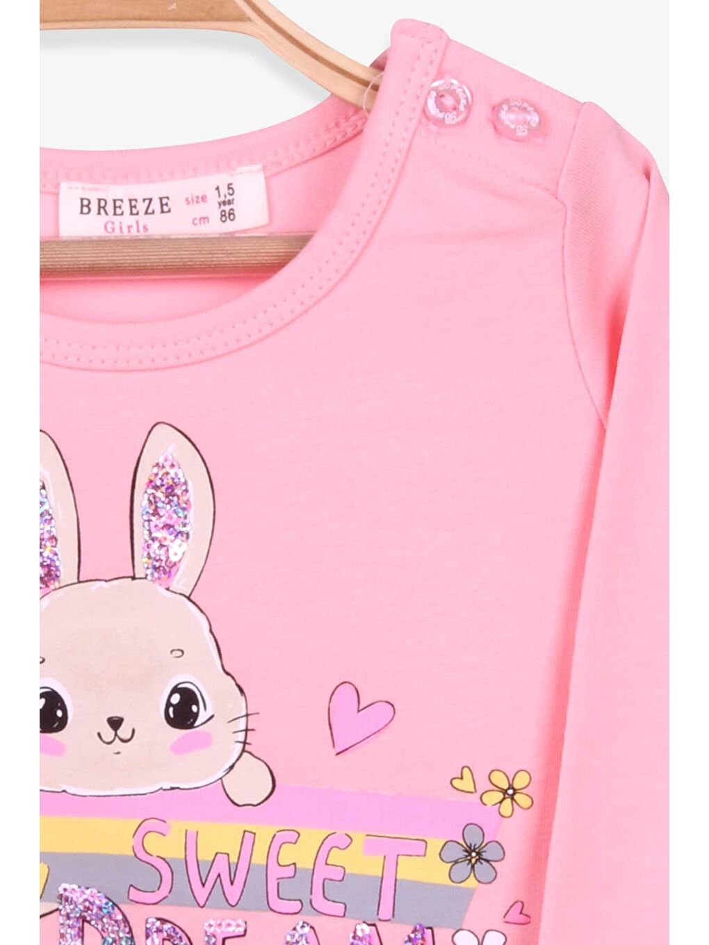 Pembe Kız Bebek Uzun Kollu Elbise Tavşan Baskılı Pudra (1.5-2 Yaş)-2