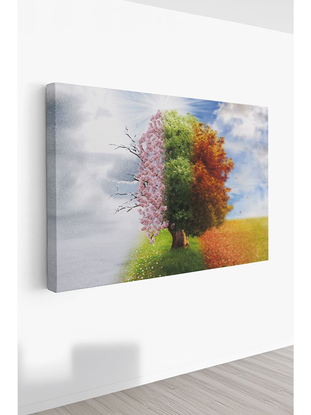 Beyaz Dekoratif Kanvas Tablo - FDC120 - ERSYFDC120-70100-1