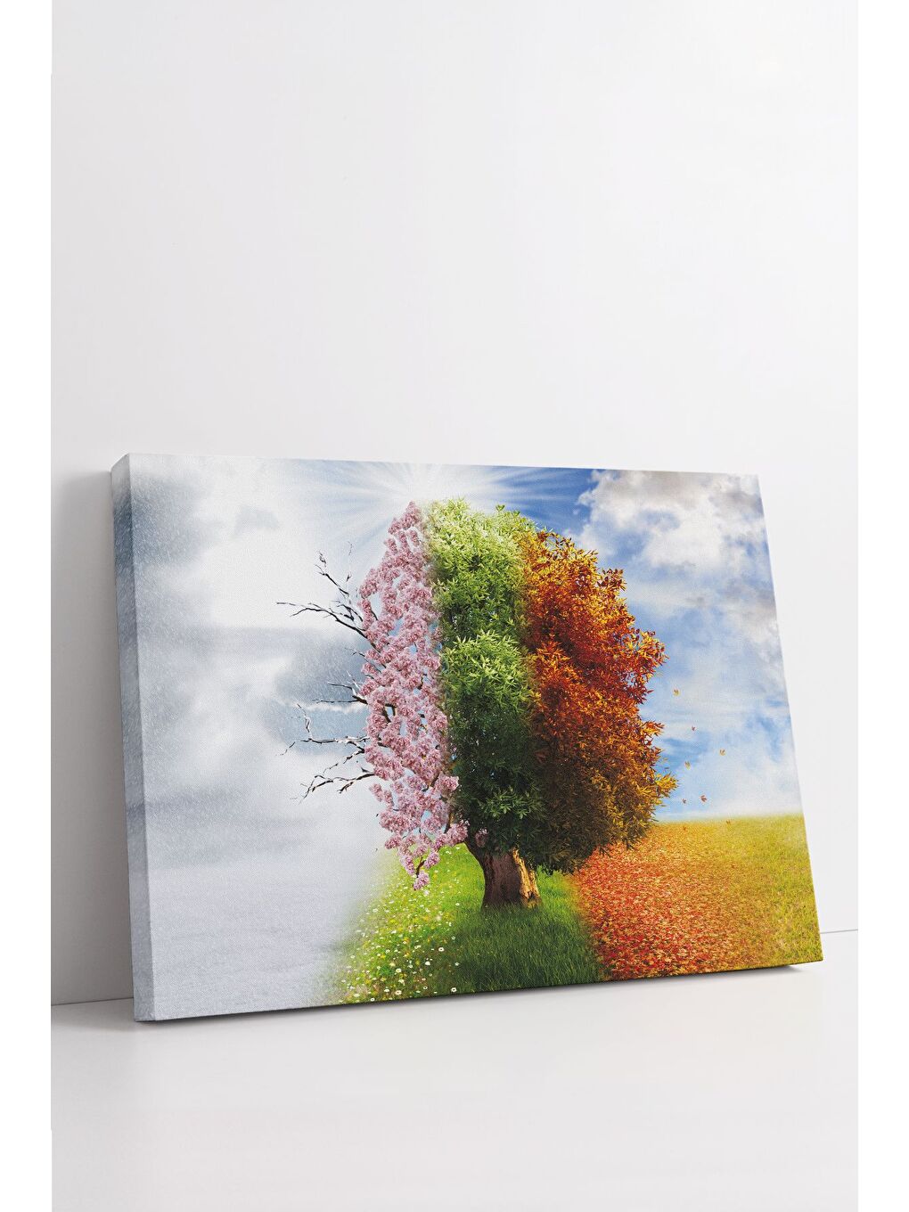 Beyaz Dekoratif Kanvas Tablo - FDC120 - ERSYFDC120-70100-2