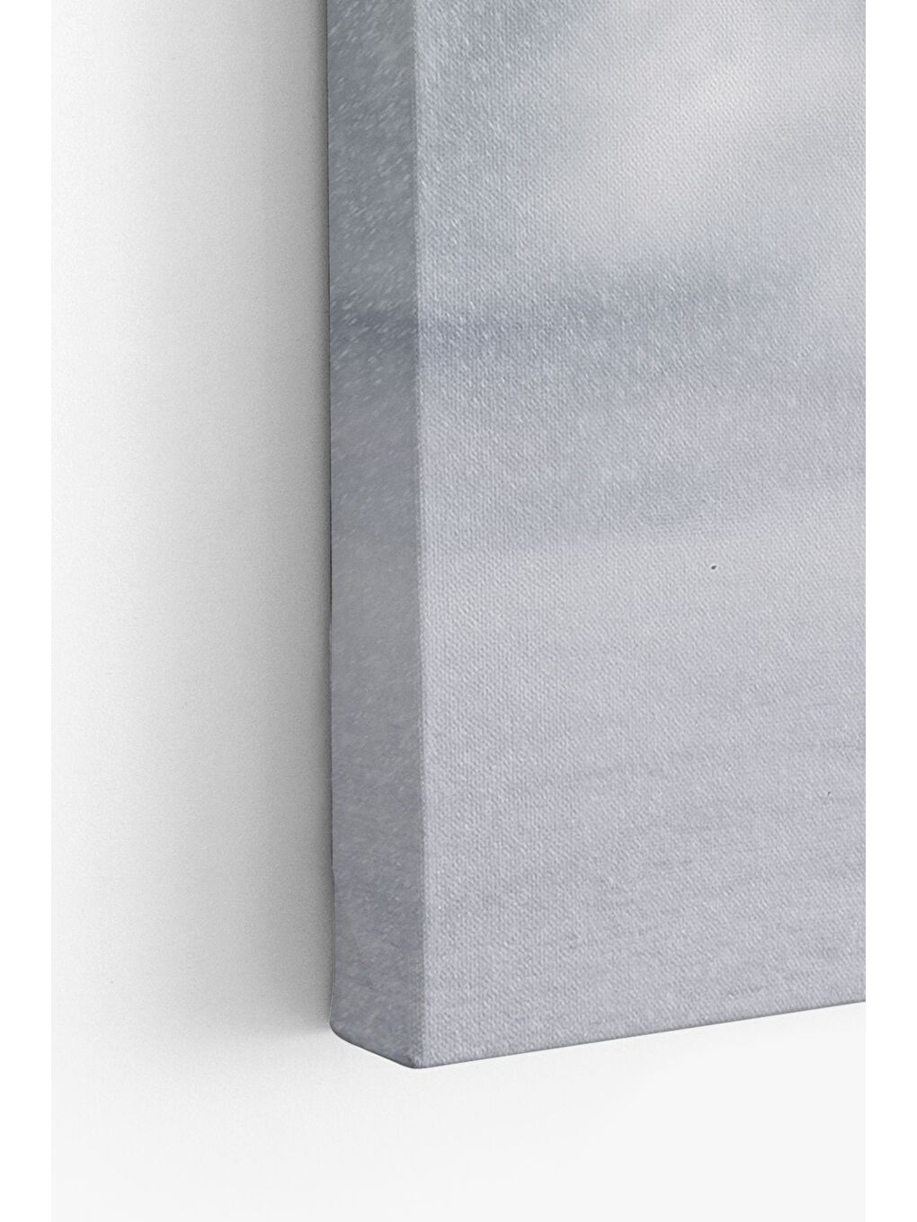 Beyaz Dekoratif Kanvas Tablo - FDC120 - ERSYFDC120-70100-3