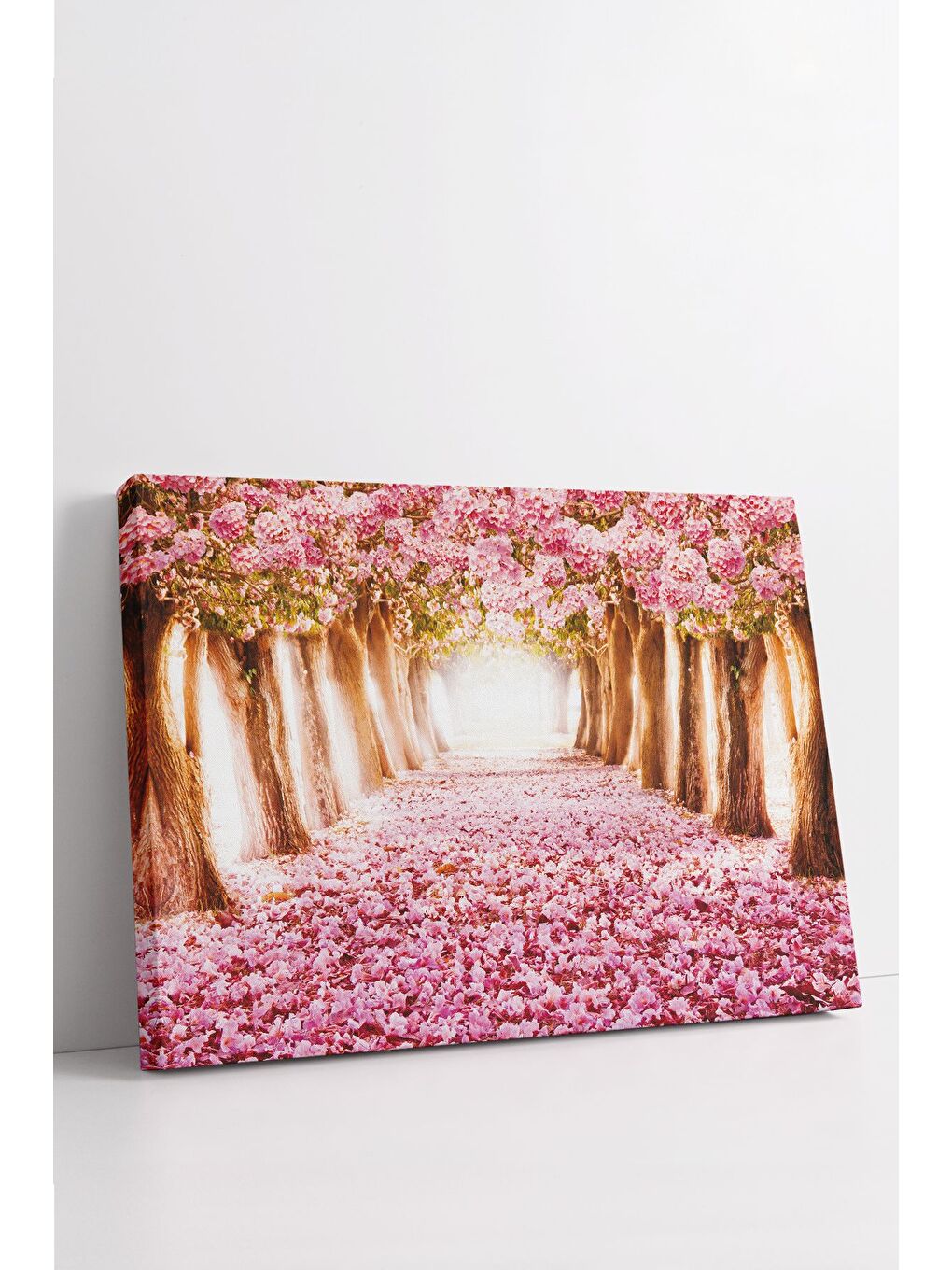 Beyaz Dekoratif Kanvas Tablo - FDC229 - ERSYFDC229-4060-2